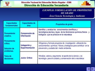 Dirección Nacional de Educación Básica Regular - EBR
Dirección de Educación Secundaria MINISTERIO DE EDUCACIÓN
REPÚBLICA DEL PERÚ
Capacidades
fundamentales
Capacidades de
área
Propósitos de grado
Pensamiento
creativo.
Pensamiento
crítico.
Solución de
problemas.
Toma de
decisiones
Comprensión de
Información
Identifica y analiza los conocimientos científicos y
tecnológicos,teorías y leyes de los fenómenos químicos,físicos y
biológicos que se produce en la naturaleza
Indagación y
Experimentación
Organiza y formula proyectos de investigación utilizando los
conocimientos químicos físicos y biológicos para contribuir en la
prevención y cuidado del medio ambiente.
Juicio Crítico
Analiza ,valora y argumenta el aporte de la ciencia y la
tecnología para el cuidado y conservación del a naturaleza
PRIORIZACIÓN DE LA PROBLEMÁTICA
INSTITUCION EDUCATIVAv
EJEMPLO: FORMULACIÓN DE PROPÓSITOS
DE GRADO
Área Ciencia Tecnología y Ambiente
 