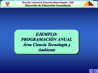 Dirección Nacional de Educación Básica Regular - EBR
Dirección de Educación Secundaria MINISTERIO DE EDUCACIÓN
REPÚBLICA DEL PERÚ
EJEMPLO:
PROPOSITOS DE GRADO
Área Ciencia Tecnología y
Ambiente
EJEMPLO:
PROGRAMACIÓN ANUAL
Área Ciencia Tecnología y
Ambiente
 