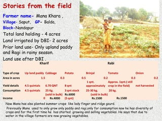 Stories from the field
Farmer name- Mana Khara ,
Village- Saput, GP- Balda,
Block-Nandapur
Total land holding - 4 acres
Land irrigated by DBI- 2 acres
Prior land use- Only upland paddy
and Ragi in rainy season.
Land use after DBI .
  Kharif Rabi
Type of crop Up land paddy Cabbage Potato Brinjal Tomato Onion
Area in acres 1.5 0.3 0.5 0.2 0.3 0.2
Yield details 4.5 quintals 6.70 QNT 8 qnt
1 qnt.
approximately
Approx. 1qnt.( still
crop in the field) not harvested
Consumption 4.5 quintals 25 Kg. 3 qnt stock 25-30 kg. 20 kg.
Income 0
(sold in bulk)
Rs.4000
Rs.6000
(5 qnt)
(sold in bulk)
Rs.1500 Rs.1500
Now Mana has also planted summer crops like lady finger and ridge gourd.
Previously Mana used to only grow only paddy and ragi,only for consumption now he has diversity of
crops and for the first time he has started growing and selling vegetables. He says that due to
water in the village farmers are now growing vegetables.
 