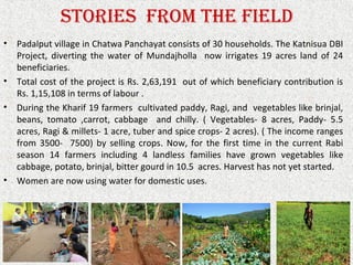 StorieS from the field
• Padalput village in Chatwa Panchayat consists of 30 households. The Katnisua DBI 
Project,  diverting  the  water  of  Mundajholla    now  irrigates  19  acres  land  of  24 
beneficiaries.
• Total cost of the project is Rs. 2,63,191  out of which beneficiary contribution is 
Rs. 1,15,108 in terms of labour .
• During the Kharif 19 farmers  cultivated paddy, Ragi, and  vegetables like brinjal, 
beans,  tomato  ,carrot,  cabbage    and  chilly.  (  Vegetables-  8  acres,  Paddy-  5.5 
acres, Ragi & millets- 1 acre, tuber and spice crops- 2 acres). ( The income ranges 
from 3500-  7500) by selling crops. Now, for the first time in the current Rabi 
season  14  farmers  including  4  landless  families  have  grown  vegetables  like 
cabbage, potato, brinjal, bitter gourd in 10.5  acres. Harvest has not yet started.
• Women are now using water for domestic uses.
 