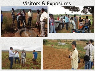Visitors & Exposures
 