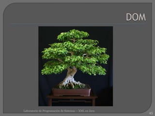 45
Laboratorio de Programación de Sistemas – XML en Java
 