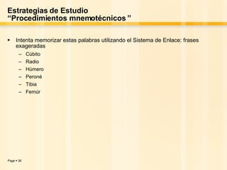 Estrategias de Estudio “Procedimientos mnemotécnicos ” Intenta memorizar estas palabras utilizando el Sistema de Enlace: frases exageradas Cúbito Radio Húmero Peroné Tibia Femúr 