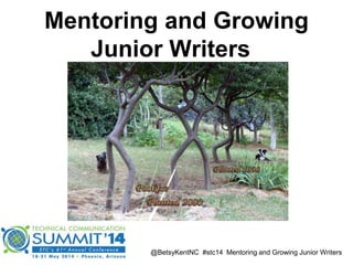 Mentoring and Growing
Junior Writers
@BetsyKentNC #stc14 Mentoring and Growing Junior Writers
 