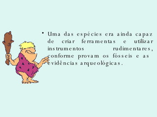 Uma das espécies era ainda capaz de criar ferramentas e utilizar instrumentos rudimentares, conforme provam os fósseis e as  evidências arqueológicas. 