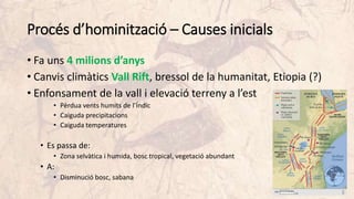 Procés d’hominització – Causes inicials
• Fa uns 4 milions d’anys
• Canvis climàtics Vall Rift, bressol de la humanitat, Etiopia (?)
• Enfonsament de la vall i elevació terreny a l’est
• Pèrdua vents humits de l’Índic
• Caiguda precipitacions
• Caiguda temperatures
• Es passa de:
• Zona selvàtica i humida, bosc tropical, vegetació abundant
• A:
• Disminució bosc, sabana
 