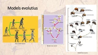 Models evolutius
Models més recents
Models més recents
Antic model evolutiu
 