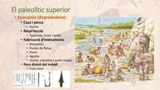 El paleolític superior
• Economia (depredadora):
• Caça i pesca
• homes
• Recol·lecció
• Tubercles, fruits i arrels
• Fabricació d’instruments
• Raspadors
• Puntes de fletxa
• Hams
• Agulles
• Vestits, sobretot a zones fredes
• Poca divisió del treball
• Sí per sexes
 