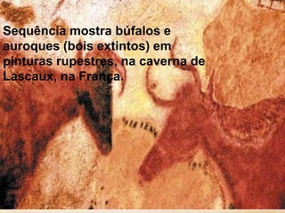 Sequência mostra búfalos e
auroques (bois extintos) em
pinturas rupestres, na caverna de
Lascaux, na França.
 
