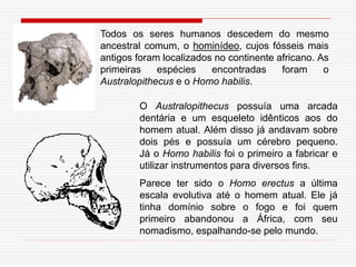 Todos os seres humanos descedem do mesmo
ancestral comum, o hominídeo, cujos fósseis mais
antigos foram localizados no continente africano. As
primeiras espécies encontradas foram o
Australopithecus e o Homo habilis.
O Australopithecus possuía uma arcada
dentária e um esqueleto idênticos aos do
homem atual. Além disso já andavam sobre
dois pés e possuía um cérebro pequeno.
Já o Homo habilis foi o primeiro a fabricar e
utilizar instrumentos para diversos fins.
Parece ter sido o Homo erectus a última
escala evolutiva até o homem atual. Ele já
tinha domínio sobre o fogo e foi quem
primeiro abandonou a África, com seu
nomadismo, espalhando-se pelo mundo.
 