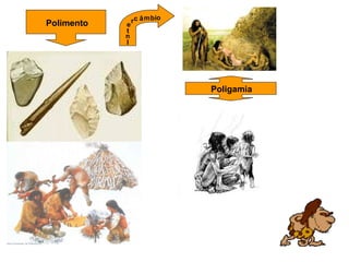 Polimento
I
t
e
rc â
n
m ib o
Poligamia
 