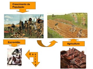 Crescimento da
População
Agricultura
Escravidão
E s c
r
i
t
a
 