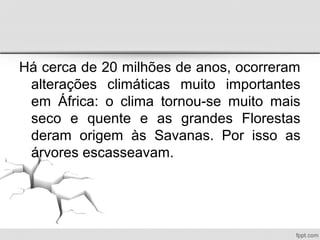 Há cerca de 20 milhões de anos, ocorreram
alterações climáticas muito importantes
em África: o clima tornou-se muito mais
seco e quente e as grandes Florestas
deram origem às Savanas. Por isso as
árvores escasseavam.
 