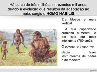 Há cerca de três milhões e trezentos mil anos,
devido à evolução que resultou da adaptação ao
meio, surgiu o HOMO HABILIS.
Era bípede e mais
vertical.
A sua capacidade
craniana aumentou e
por isso era mais
inteligente (700 cm3).
O polegar era oponível
Sabia fazer
instrumentos de pedra
e de madeira.
 