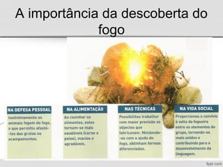 A importância da descoberta do
fogo
 
