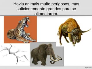 Havia animais muito perigosos, mas
suficientemente grandes para se
alimentarem.
 