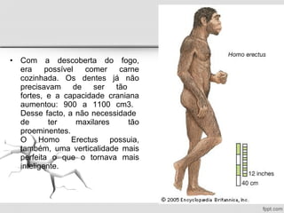 Há 120.000 existiu um Hominídeo mais
desenvolvido e por isso conhecido por Homo
Sapiens.
• Era totalmente bípede e
vertica...