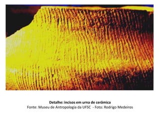 Detalhe: incisos em urna de cerâmica
Fonte: Museu de Antropologia da UFSC - Foto: Rodrigo Medeiros
 