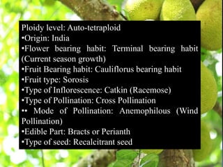 Jack fruit breeding ppt. Ranjeet maurya . | PPTX