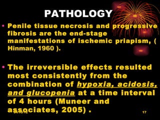 PATHOLOGY
• Penile tissue necrosis and progressive
  fibrosis are the end-stage
  manifestations of ischemic priapism, (
  Hinman, 1960 ).


• The irreversible effects resulted
  most consistently from the
  combination of hypoxia, acidosis,
  and glucopenia at a time interval
  of 4 hours (Muneer and
  associates, 2005) .
   04/10/12                      17
 