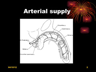 Arterial supply




04/10/12                     2
 
