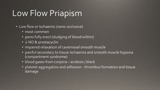 Priapism