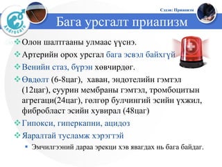 Priapism (Приапизм) | PPT