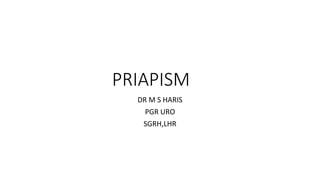 PRIAPISM
DR M S HARIS
PGR URO
SGRH,LHR
 
