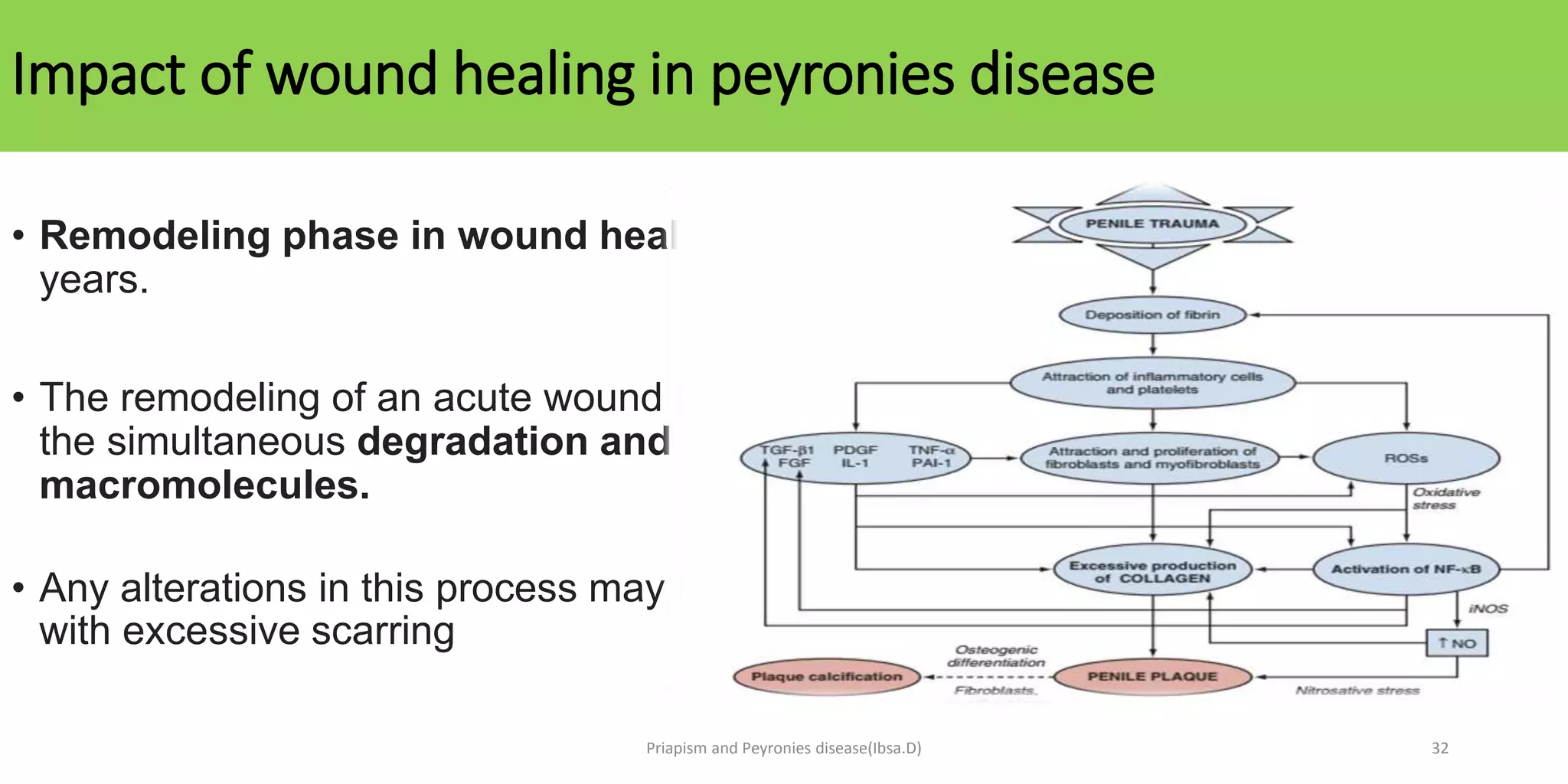 priapism and peyronies disease.pptx