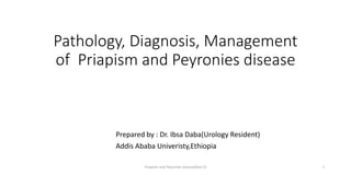 Pathology, Diagnosis, Management
of Priapism and Peyronies disease
Prepared by : Dr. Ibsa Daba(Urology Resident)
Addis Ababa Univeristy,Ethiopia
1
Priapism and Peyronies disease(Ibsa.D)
 