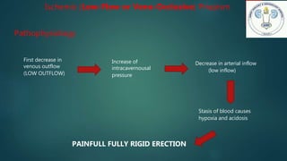 Ischemic (Low-Flow or Veno-Occlusive) Priapism
Pathophysiology
First decrease in
venous outflow
(LOW OUTFLOW)
Increase of
intracavernousal
pressure
Decrease in arterial inflow
(low inflow)
Stasis of blood causes
hypoxia and acidosis
PAINFULL FULLY RIGID ERECTION
 