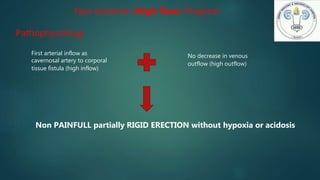 Non Ischemic (High flow) Priapism
Pathophysiology
First arterial inflow as
cavernosal artery to corporal
tissue fistula (high inflow)
No decrease in venous
outflow (high outflow)
Non PAINFULL partially RIGID ERECTION without hypoxia or acidosis
 