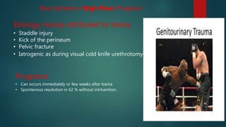 Non Ischemic (High flow) Priapism
Etiology manily attributed to trama
• Staddle injury
• Kick of the perineum
• Pelvic fracture
• Iatrogenic as during visual cold knife urethrotomy
Prognosis
• Can occurs immediately or few weeks after trama
• Spontenous resolution in 62 % without intrtvention
 