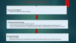 Management of ischemic priapism
 