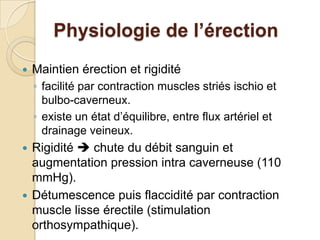 Physiologie de l’érectionMaintien érection et rigidité facilité par contraction muscles striés ischio et bulbo-caverneux. existe un état d’équilibre, entre flux artériel et drainage veineux. Rigidité  chute du débit sanguin et augmentation pression intra caverneuse (110 mmHg).  Détumescence puis flaccidité par contraction muscle lisse érectile (stimulation orthosympathique). 