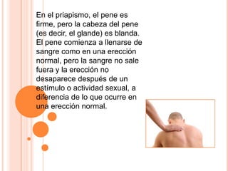 En el priapismo, el pene es firme, pero la cabeza del pene (es decir, el glande) es blanda. El pene comienza a llenarse de sangre como en una erección normal, pero la sangre no sale fuera y la erección no desaparece después de un estímulo o actividad sexual, a diferencia de lo que ocurre en una erección normal.