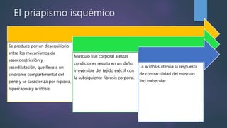 El priapismo isquémico
Se produce por un desequilibrio
entre los mecanismos de
vasoconstricción y
vasodilatación, que lleva a un
síndrome compartimental del
pene y se caracteriza por hipoxia,
hipercapnia y acidosis.
Músculo liso corporal a estas
condiciones resulta en un daño
irreversible del tejido eréctil con
la subsiguiente fibrosis corporal.
La acidosis atenúa la respuesta
de contractilidad del músculo
liso trabecular
 