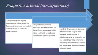 Priapismo arterial (no-isquémico)
El priapismo de alto flujo se
produce como consecuencia del
flujo arterial cavernoso no regulado
como resultado de un trauma
agudo perineal
El flujo arterial turbulento
producido por la fístula lleva a la
liberación no regulada de óxido
nítrico endotelial, un poderoso
vasodilatador y anticoagulante
impide la detumescencia peneana y
la formación del coágulo en la
fístula de arterio-lacunar. El
priapismo arterial se caracteriza por
una erección parcial permanente e
indolora que mantiene casi siempre
una rigidez axial normal durante la
actividad sexual
 