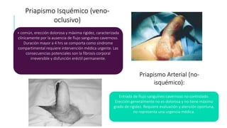 Entrada de flujo sanguíneo cavernoso no controlado.
Erección generalmente no es dolorosa y no tiene máximo
grado de rigidez. Requiere evaluación y atención oportuna,
no representa una urgencia médica.
+ común, erección dolorosa y máxima rigidez, caracterizada
clínicamente por la ausencia de flujo sanguíneo cavernoso.
Duración mayor a 4 hrs se comporta como síndrome
compartimental requiere intervención médica urgente. Las
consecuencias potenciales son la fibrosis corporal
irreversible y disfunción eréctil permanente.
Priapismo Isquémico (veno-
oclusivo)
Priapismo Arterial (no-
isquémico):
 