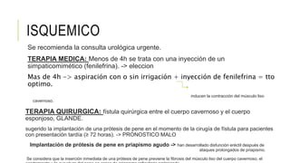 ISQUEMICO
Se recomienda la consulta urológica urgente.
TERAPIA MEDICA: Menos de 4h se trata con una inyección de un
simpaticomimético (fenilefrina). -> eleccion
Mas de 4h -> aspiración con o sin irrigación + inyección de fenilefrina = tto
optimo.
inducen la contracción del músculo liso
cavernoso.
TERAPIA QUIRURGICA: fístula quirúrgica entre el cuerpo cavernoso y el cuerpo
esponjoso, GLANDE.
sugerido la implantación de una prótesis de pene en el momento de la cirugía de fístula para pacientes
con presentación tardía (≥ 72 horas). -> PRONOSTICO MALO
Implantación de prótesis de pene en priapismo agudo -> han desarrollado disfunción eréctil después de
ataques prolongados de priapismo.
Se considera que la inserción inmediata de una prótesis de pene previene la fibrosis del músculo liso del cuerpo cavernoso, el
 