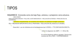 TIPOS
ISQUEMICO: Conocida como de bajo flujo, anóxica, o priapismo veno-oclusiva.
 MAS COMUN.
ERECCION PROLONGADA + FALLA DE LA DETUMESCENCIA -> RELAJACION ALTERADA + PARALISIS DEL ML
CAVERNOSO.
= síndrome compartimental, con aumento de la hipoxia y la acidosis en el tejido cavernoso.
ON -> MEDIADOR IMPORTANTE EN EL PRIAPISMO = RELAJACION DEL MUSCULO LISO(ML)
Desarrollo + uso de inhibidores de la fosfodiesterasa tipo 5 (PDE5) -> TTO DISFUNCION ERECTIL.
Inhiben la degracion de cGMP -> ++ ON en ML
En anemia falciforme defecto regulador. Disminución
excesiva de ON y PDE5 -> HIPERSENSIBLES.
 