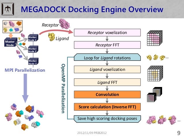 Protein Docking Software Protein Docking Software
