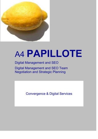 A4 PAPILLOTE
Digital Management and SEO
Digital Management and SEO Team
Negotiation and Strategic Planning
Convergence & Digital Services
 