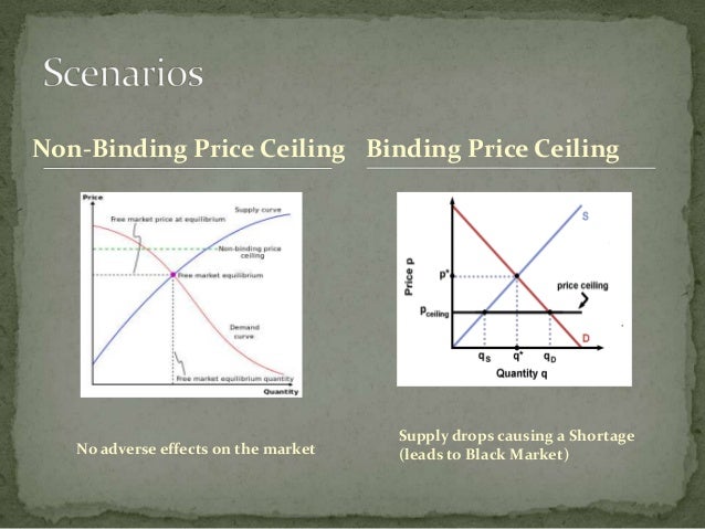 Price Ceiling Privatization Of Public Utility Services