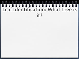Price Is Right 2009 Etech