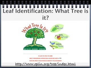 Price Is Right 2009 Etech