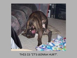 THIS IS “IT’S GONNA HURT”. 