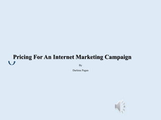 Pricing For An Internet Marketing Campaign 
By 
Darlena Pagan 
 