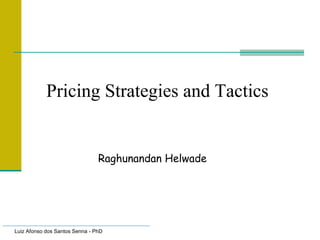 Luiz Afonso dos Santos Senna - PhD
Pricing Strategies and Tactics
Raghunandan Helwade
 