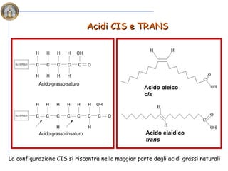 pricipali-classi-di-lipidi-e-fonti-alimentari-ppt